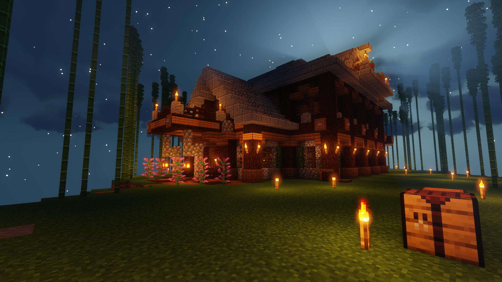 Minecraft Server Project